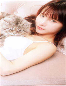 醉猴
