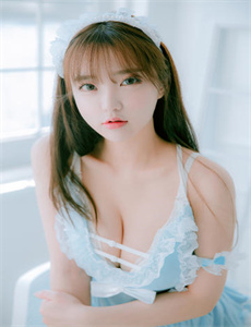 翼·年代记